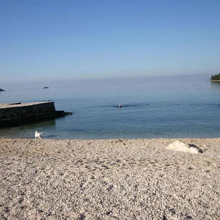 アパート In Rovinj/istrien 11561 *